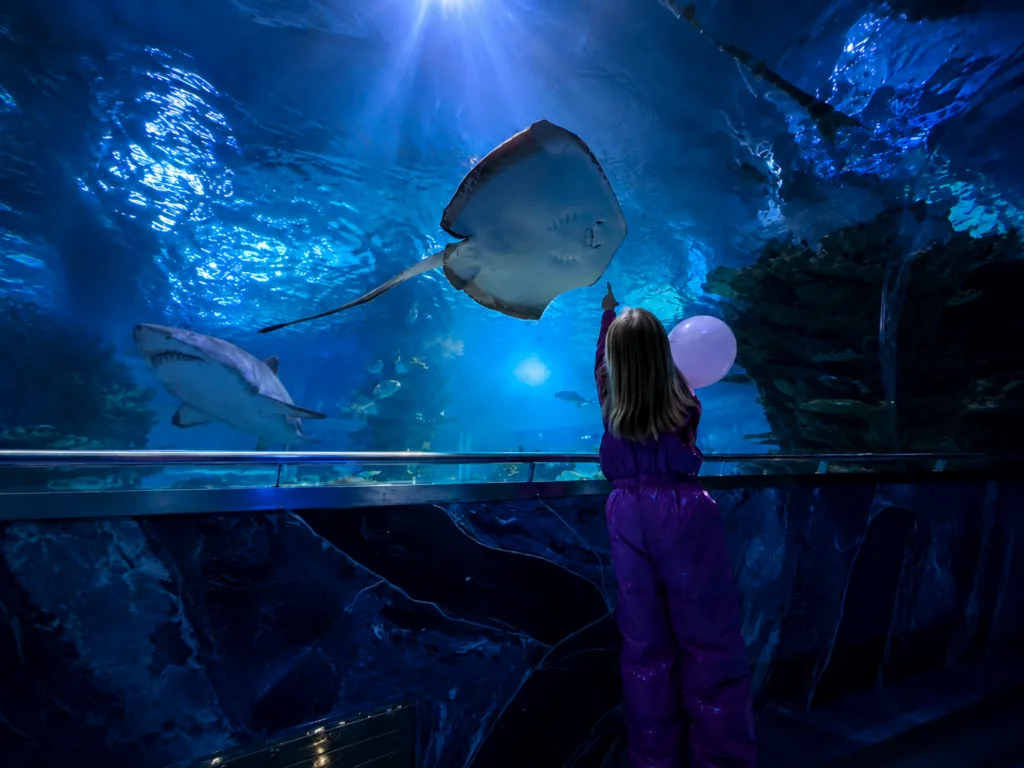 AI family trip planner test — child pointing at a ray inside the Tropicarium Budapest shark tunnel with sharks and fish overhead.